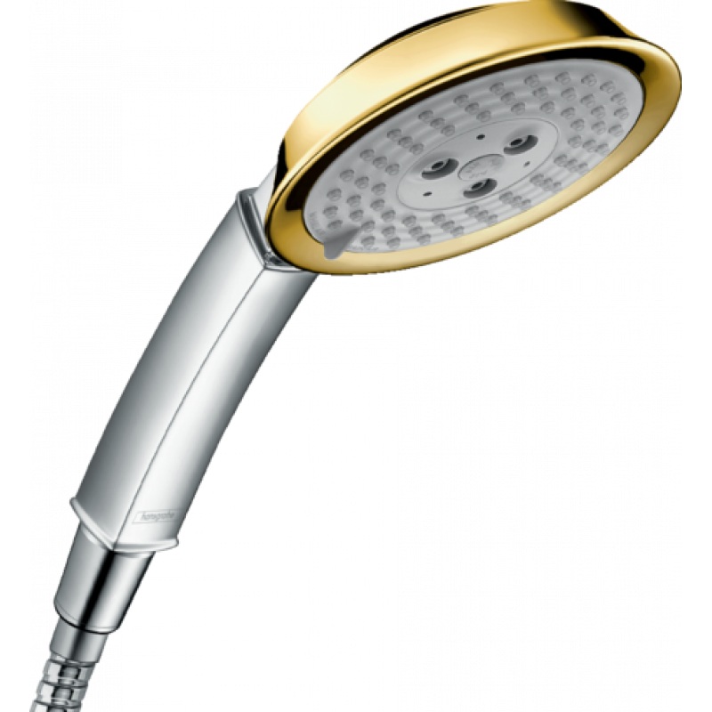 Ручной душ Hansgrohe Raindance Classic 100 (28548090) фото