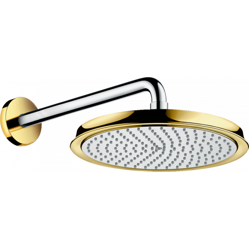 Верхний душ Hansgrohe Raindance C 240 Air (27424090) фото