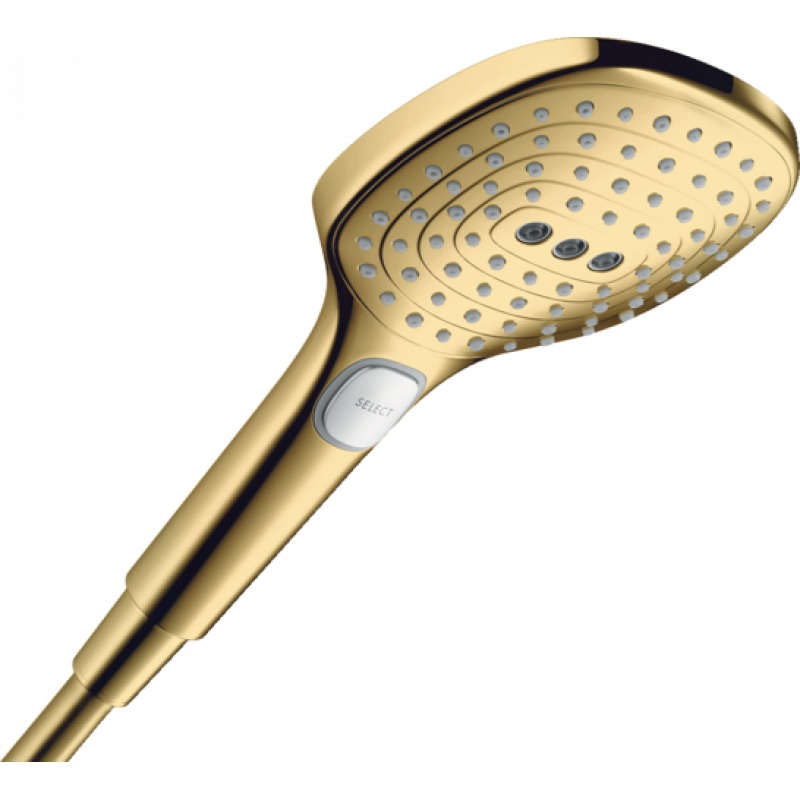 Ручной душ Hansgrohe Raindance Select E (26520990) фото