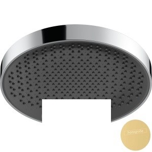 Верхний душ Hansgrohe Rainfinity 360  1j (26231990) фото