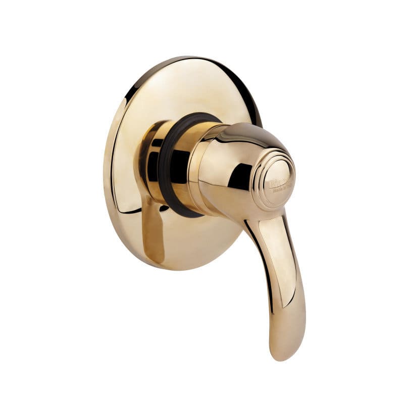 Смеситель для душа встроенный Bianchi Class (INDCLS2007ORO) фото
