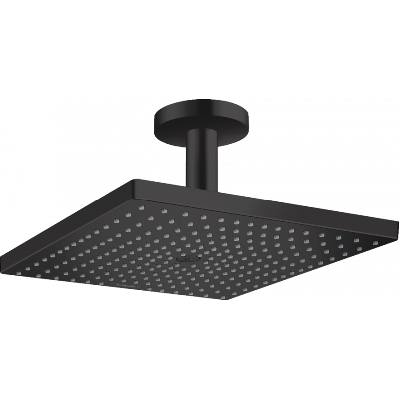 Верхний душ Hansgrohe RAINDANCE E 300 (26250670) фото