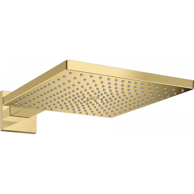 Верхний душ Hansgrohe RAINDANCE E 300 (26238990) фото