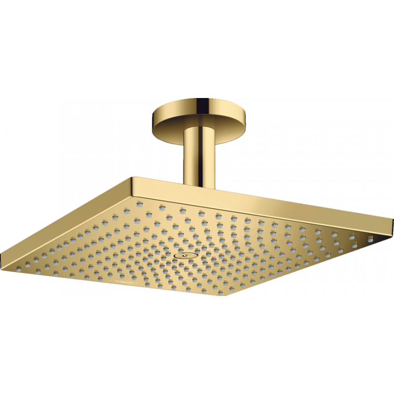 Верхний душ Hansgrohe RAINDANCE E 300 (26250990) фото