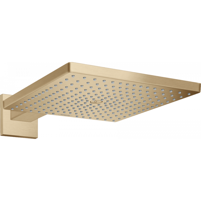 Верхний душ Hansgrohe RAINDANCE E 300 (26238140) фото